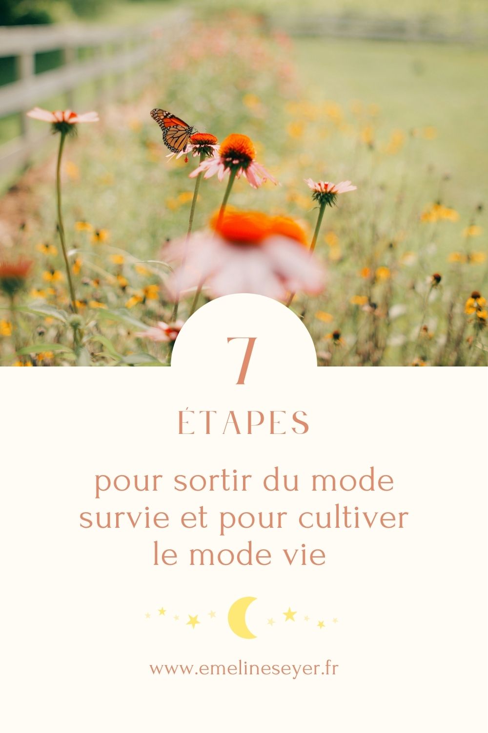7 étapes pour sortir du mode survie et cultiver le mode vie