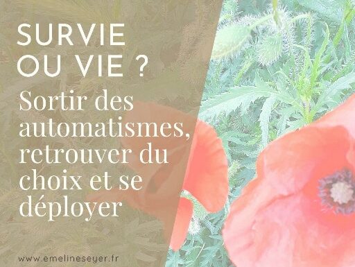 Survie ou vie ? Retrouver du choix pour se déployer.