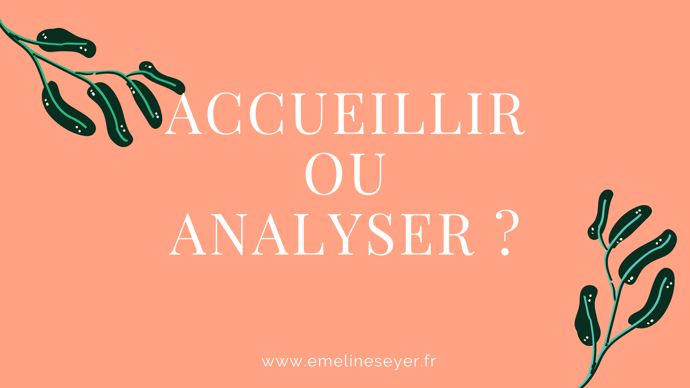 You are currently viewing Accueillir ou analyser ?